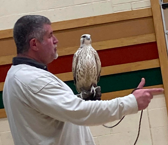 Mr. Kemmerer with a falcon