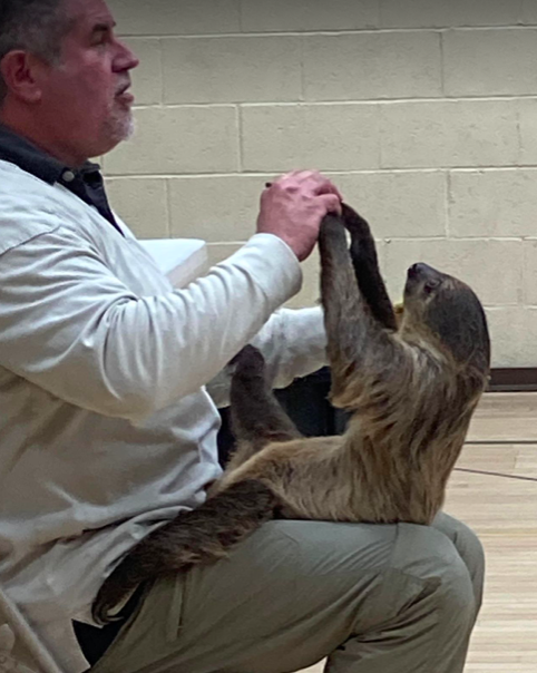 A playful sloth sits on Mr. Kemmerer’s lap