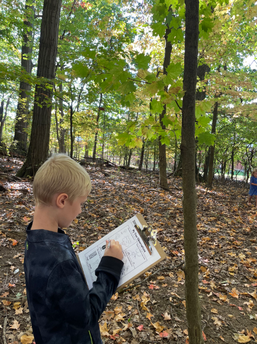 Cole Miller records some characteristics of a maple tree