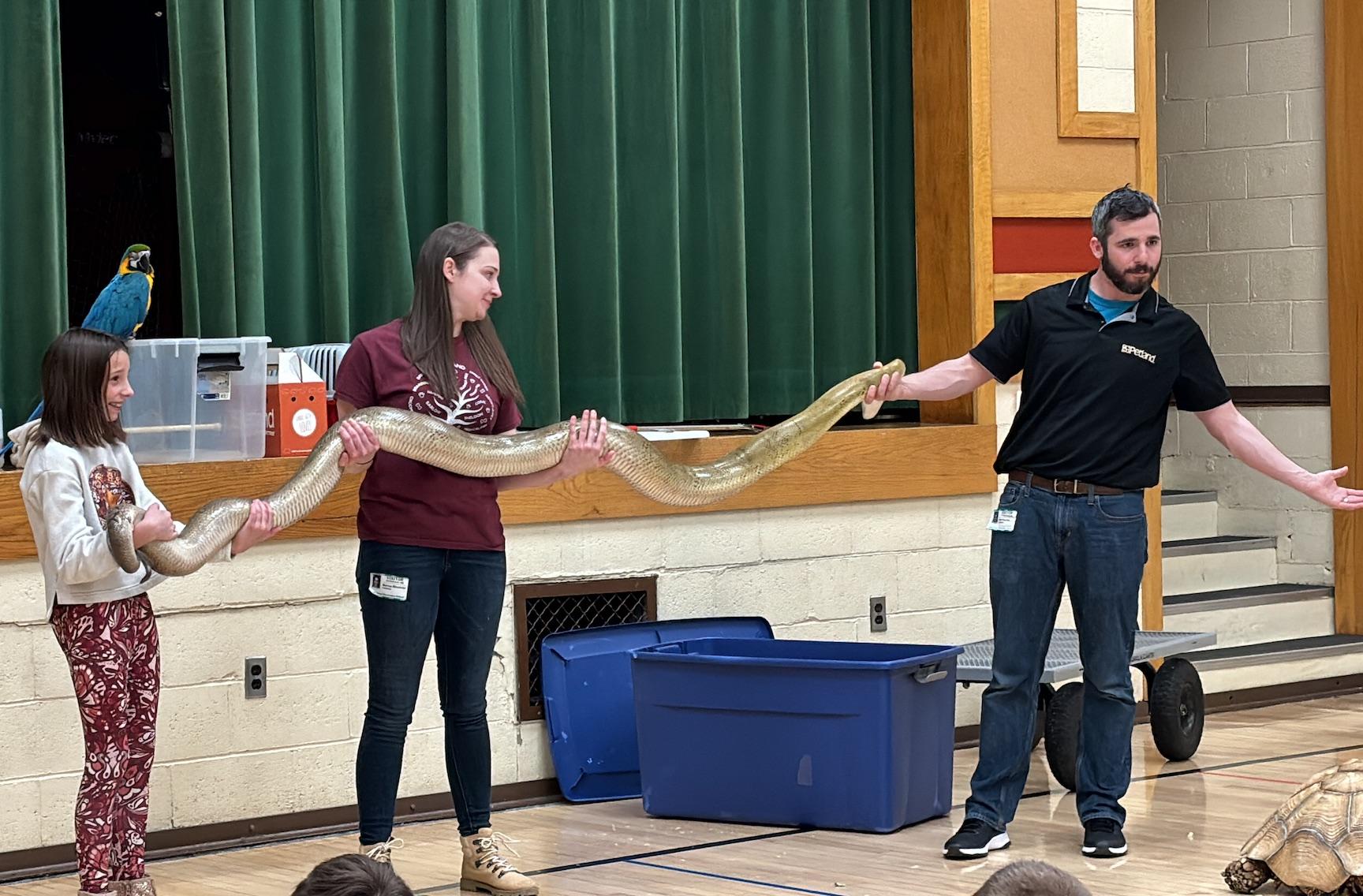 4th-grader Fiona Wassel joins Petland’s Taylor and Kurt to hold the giant python for the audience to see